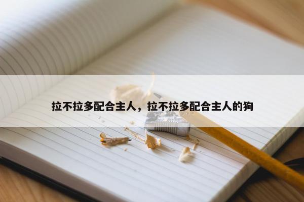 拉不拉多配合主人，拉不拉多配合主人的狗