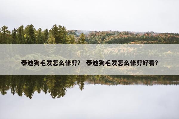 泰迪狗毛发怎么修剪？ 泰迪狗毛发怎么修剪好看？