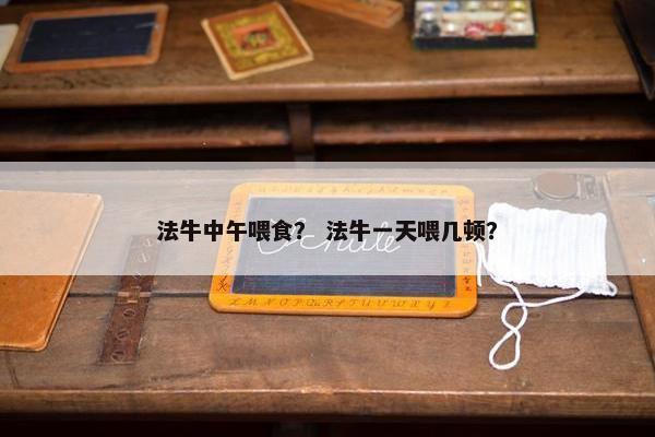 法牛中午喂食？ 法牛一天喂几顿？