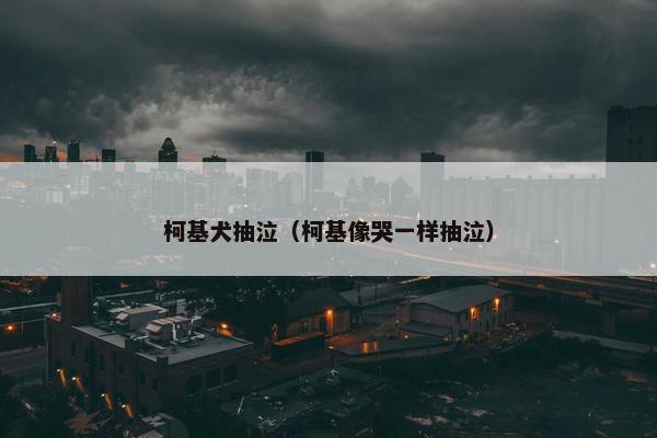 柯基犬抽泣（柯基像哭一样抽泣）
