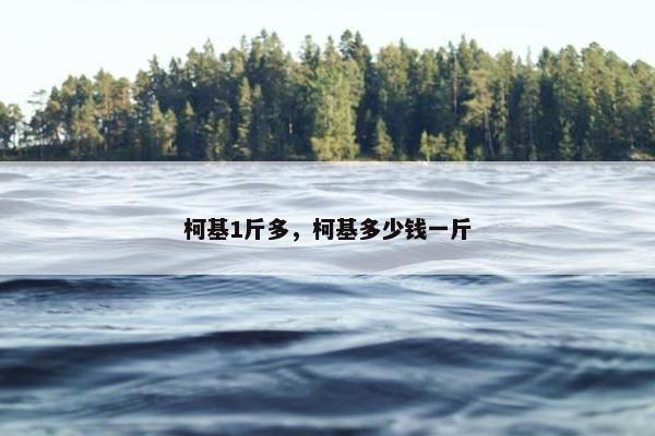 柯基1斤多，柯基多少钱一斤