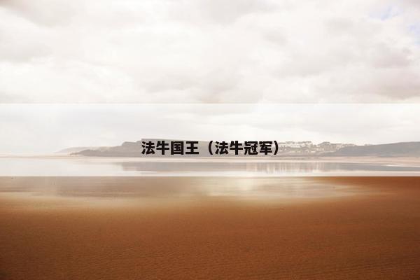 法牛国王（法牛冠军）