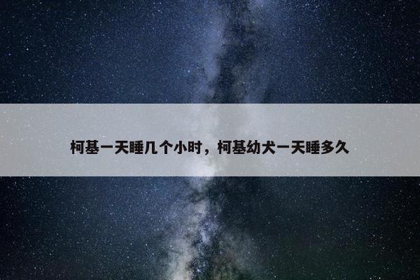 柯基一天睡几个小时，柯基幼犬一天睡多久