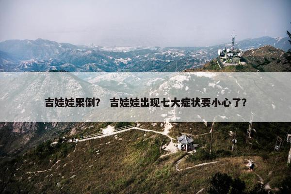 吉娃娃累倒？ 吉娃娃出现七大症状要小心了？