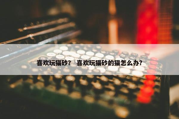 喜欢玩猫砂？ 喜欢玩猫砂的猫怎么办？