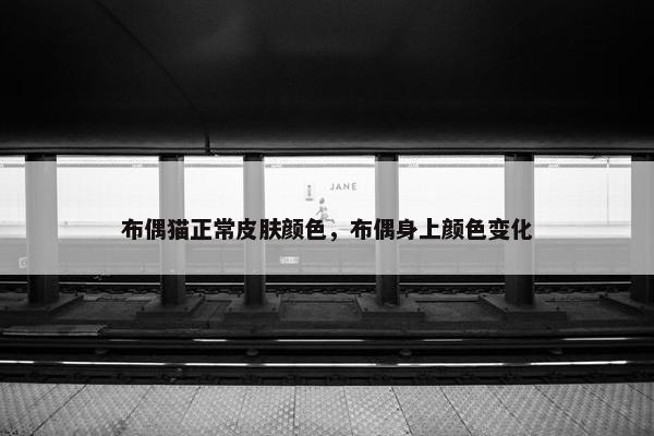 布偶猫正常皮肤颜色，布偶身上颜色变化