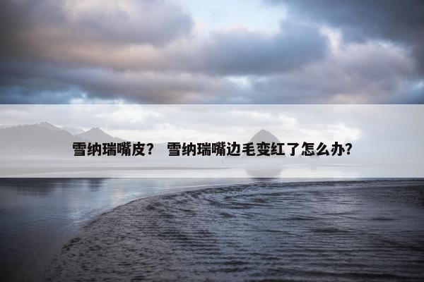 雪纳瑞嘴皮？ 雪纳瑞嘴边毛变红了怎么办？