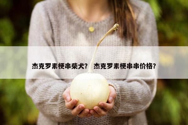 杰克罗素梗串柴犬？ 杰克罗素梗串串价格？