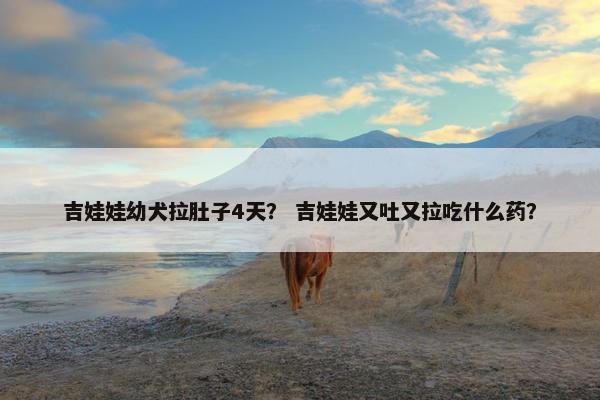 吉娃娃幼犬拉肚子4天？ 吉娃娃又吐又拉吃什么药？