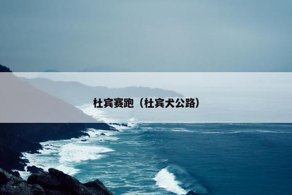 杜宾赛跑（杜宾犬公路）