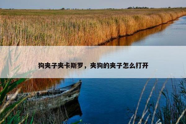 狗夹子夹卡斯罗，夹狗的夹子怎么打开