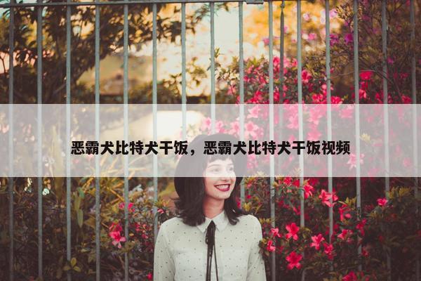 恶霸犬比特犬干饭，恶霸犬比特犬干饭视频