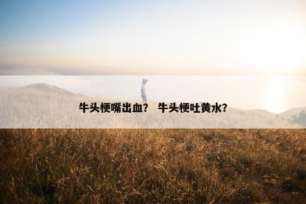 牛头梗嘴出血？ 牛头梗吐黄水？