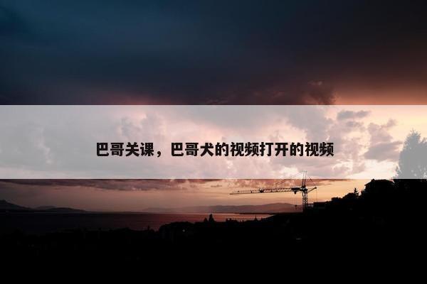 巴哥关课，巴哥犬的视频打开的视频