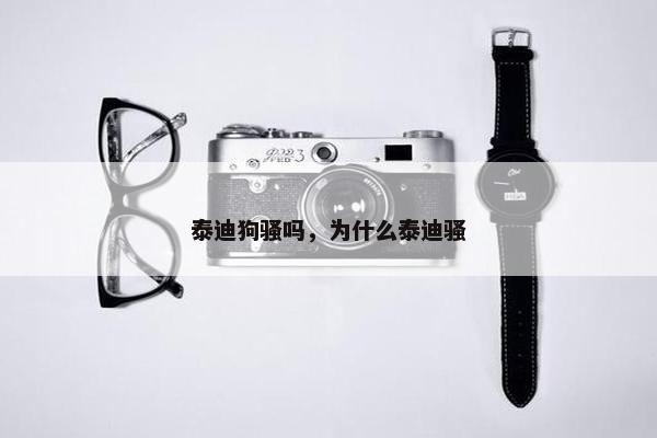 泰迪狗骚吗，为什么泰迪骚