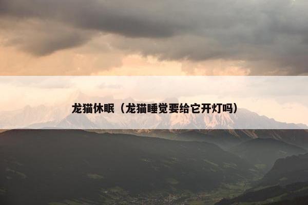 龙猫休眠（龙猫睡觉要给它开灯吗）