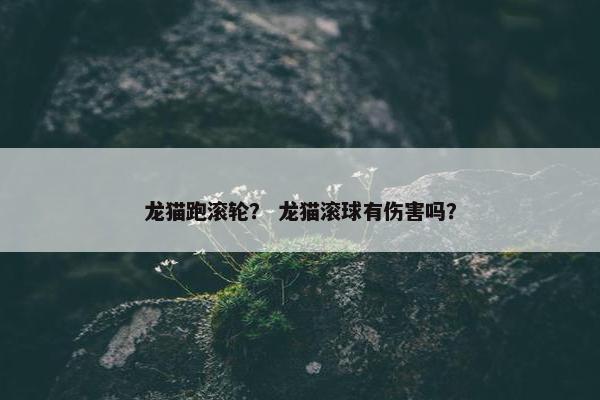 龙猫跑滚轮？ 龙猫滚球有伤害吗？