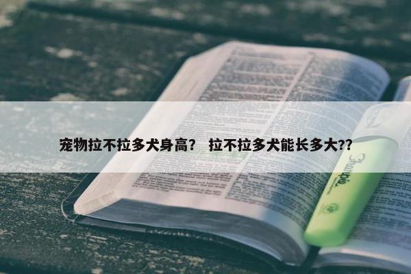 宠物拉不拉多犬身高？ 拉不拉多犬能长多大?？