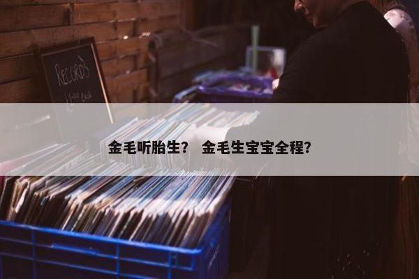 金毛听胎生？ 金毛生宝宝全程？