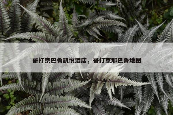 哥打京巴鲁凯悦酒店，哥打京那巴鲁地图