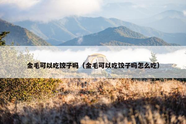 金毛可以吃饺子吗（金毛可以吃饺子吗怎么吃）