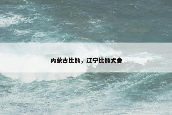内蒙古比熊，辽宁比熊犬舍
