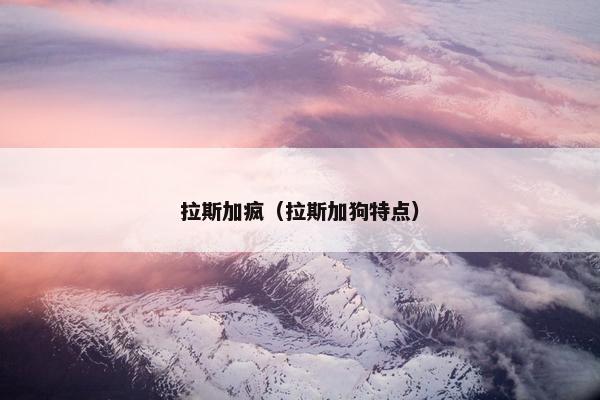 拉斯加疯（拉斯加狗特点）