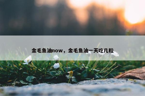 金毛鱼油now，金毛鱼油一天吃几粒