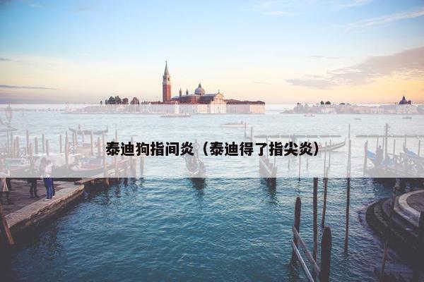 泰迪狗指间炎（泰迪得了指尖炎）