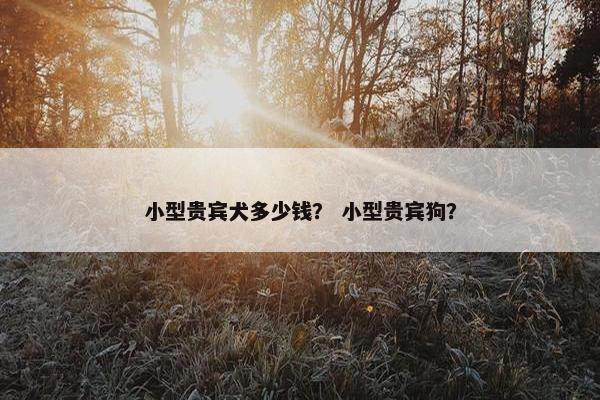 小型贵宾犬多少钱？ 小型贵宾狗？
