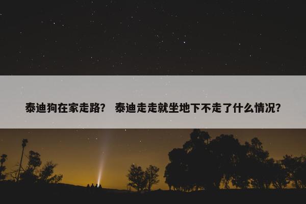 泰迪狗在家走路？ 泰迪走走就坐地下不走了什么情况？