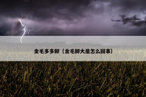 金毛多多脚（金毛脚大是怎么回事）