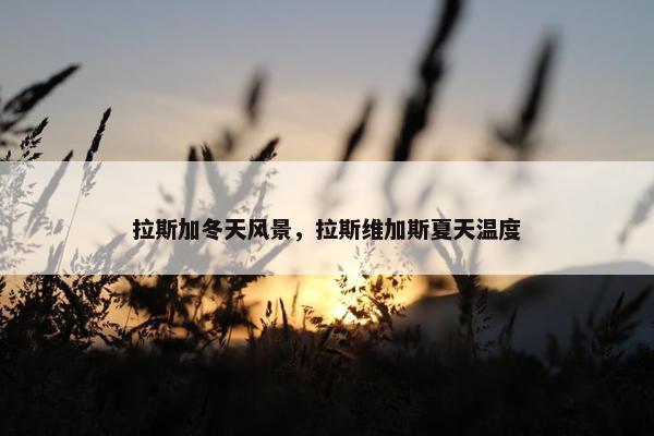 拉斯加冬天风景，拉斯维加斯夏天温度