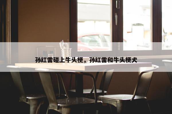 孙红雷碰上牛头梗，孙红雷和牛头梗犬