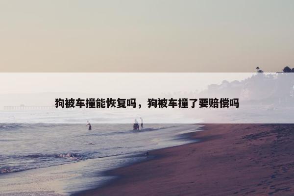 狗被车撞能恢复吗，狗被车撞了要赔偿吗