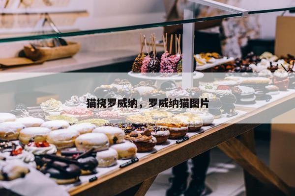 猫挠罗威纳，罗威纳猫图片