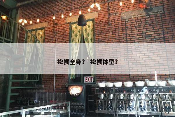 松狮全身？ 松狮体型？