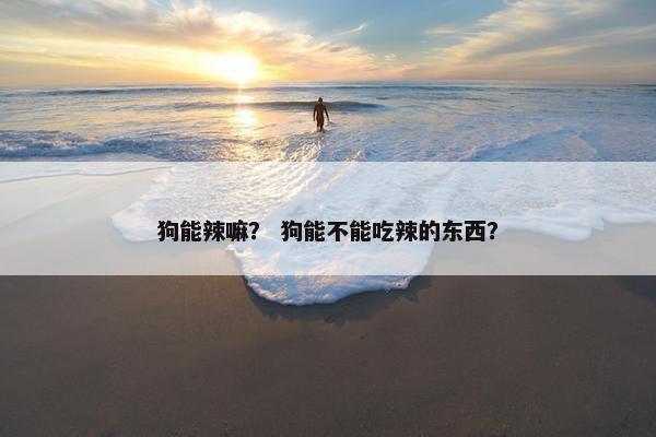 狗能辣嘛？ 狗能不能吃辣的东西？