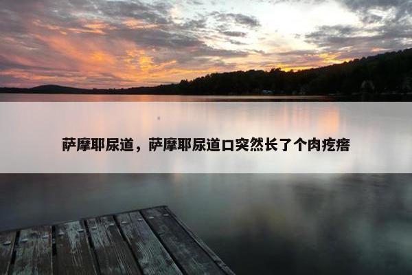萨摩耶尿道，萨摩耶尿道口突然长了个肉疙瘩