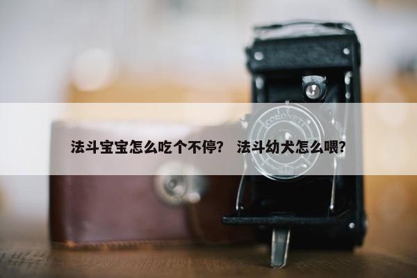法斗宝宝怎么吃个不停？ 法斗幼犬怎么喂？