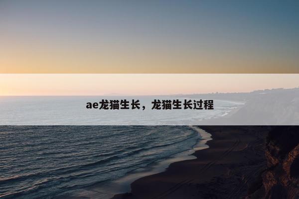 ae龙猫生长，龙猫生长过程