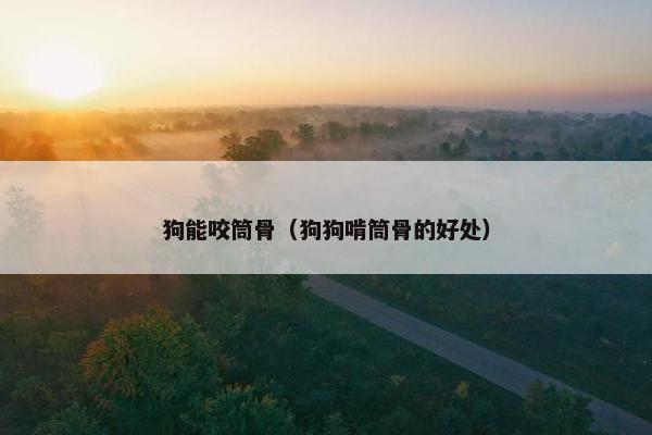 狗能咬筒骨（狗狗啃筒骨的好处）