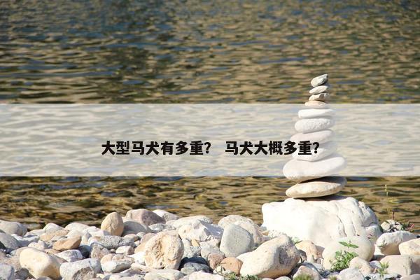 大型马犬有多重？ 马犬大概多重？