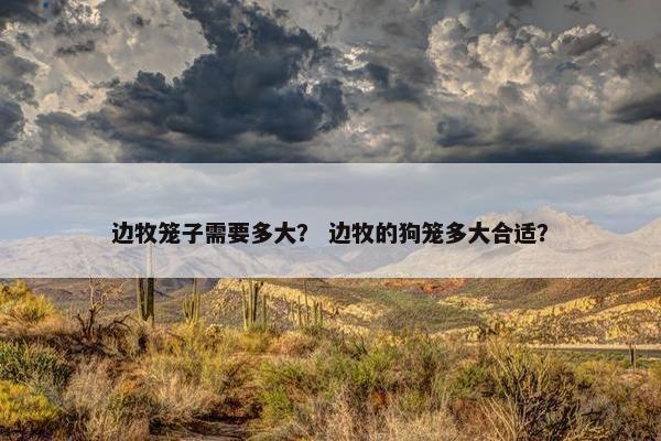 边牧笼子需要多大？ 边牧的狗笼多大合适？