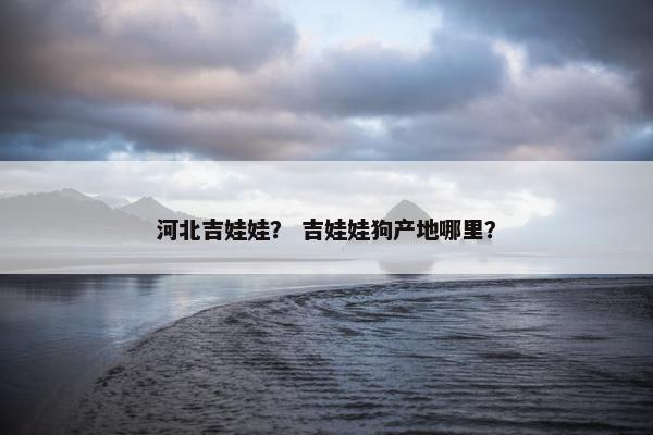 河北吉娃娃？ 吉娃娃狗产地哪里？