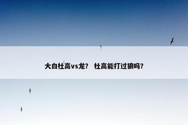 大白杜高vs龙？ 杜高能打过狼吗？