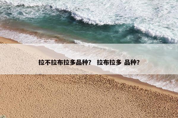 拉不拉布拉多品种？ 拉布拉多 品种？