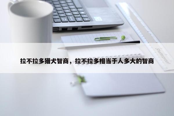 拉不拉多猎犬智商，拉不拉多相当于人多大的智商
