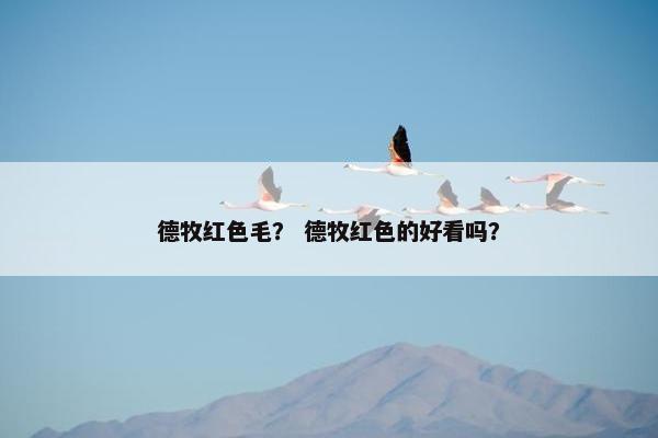 德牧红色毛？ 德牧红色的好看吗？