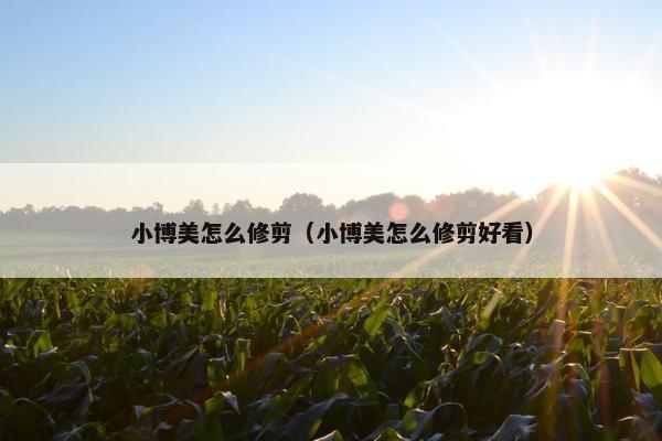 小博美怎么修剪（小博美怎么修剪好看）